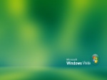 Microsoft Windows Vista en fondo verde