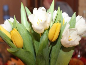 Ramo de tulipanes blancos y amarillos