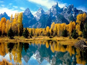 Postal: Paisaje de otoño en las montañas