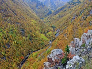 Montañas con los colores del otoño