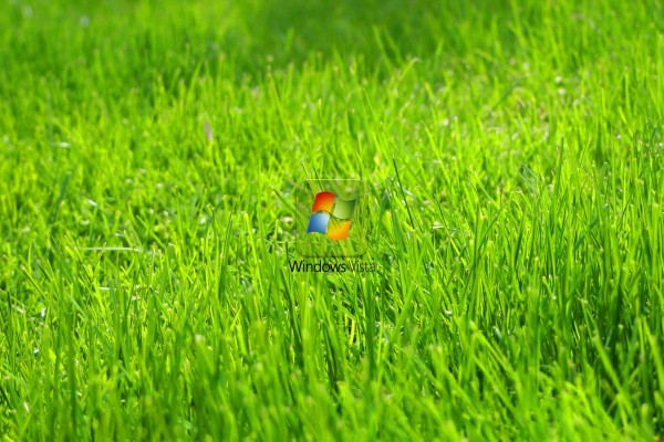 Logo de Windows Vista en la hierba verde