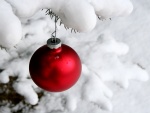 Bola roja con nieve en el árbol de Navidad