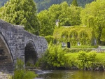Puente de piedra en la casa verde
