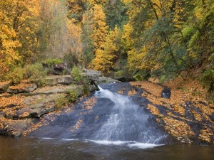Postal: Un río en otoño