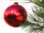 Una bola roja en el árbol de Navidad