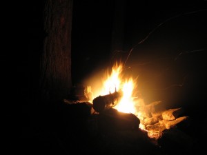 Leña en el fuego