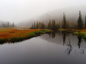 Postal: Niebla en otoño