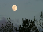 La luna llena en el cielo al llegar la noche