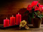 Flores y velas rojas para Navidad