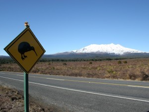 Postal: Señal de advertencia, Kiwis en la carretera (Nueva Zelanda)
