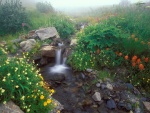 Plantas y flores en la pequeña cascada