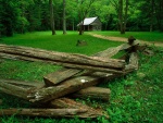 Troncos y cabaña de madera en el bosque