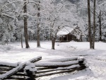 Una cabaña en la nieve, Great Smoky Mountains National Park, Tennessee