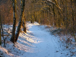 Camino con nieve