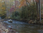 Piedras y hojas otoñales en el río