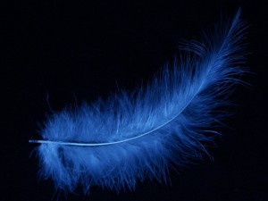 Una pluma azul