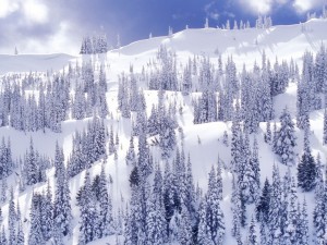 Precioso paisaje nevado en la naturaleza