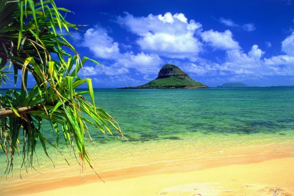Viendo el Mokoli'i desde la playa, Hawai