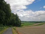 Carretera en un lugar rural