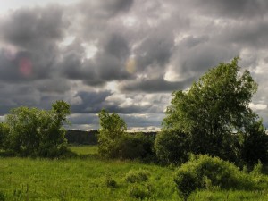 Nubes grises sobre el campo verde