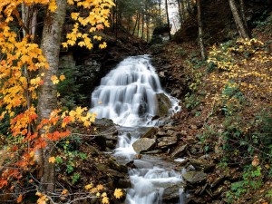 Bonita cascada en otoño