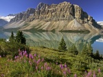 El lago Bow en Alberta, Canadá