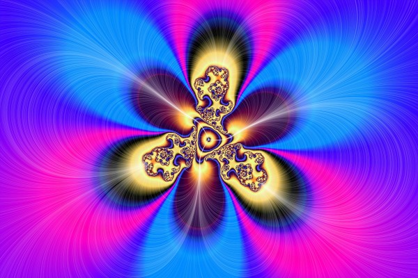 Flor fractal