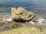 Roca en la orilla