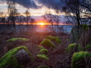 Postal: El ocaso del sol visto desde las rocas con musgo