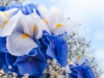 Elegante ramo de pétalos blancos y azules