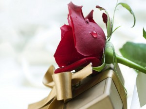 Una rosa y un regalo para el Día de San Valentín