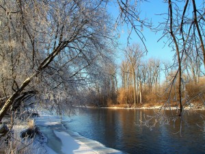 Río y árboles en invierno
