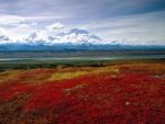 Parque nacional y reserva Denali, Alaska