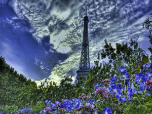 Flores y la Torre Eiffel