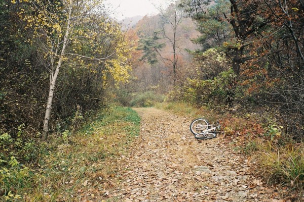 Bicicleta en el bosque