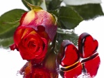 Rosa roja y dos corazones