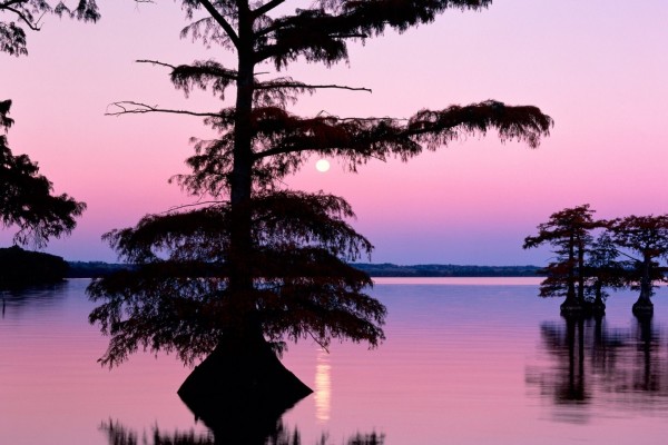 La luna sobre el lago Reelfoot, Tennessee