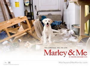 Postal: Perro de "Marley & Me"