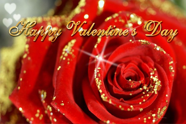 Feliz Día de San Valentín con una rosa