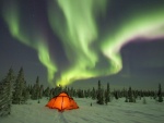 Aurora boreal en un lugar nevado