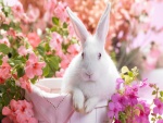 Conejo blanco entre flores rosas