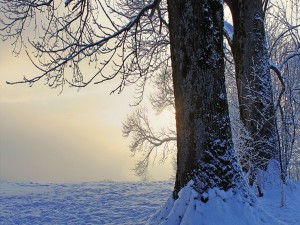 Postal: Puesta de sol en invierno