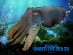 Under the Sea (IMAX 3D)