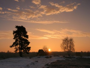 Postal: El sol en una fría tarde de invierno