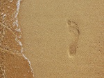 Huella de un solo pie en la arena de la playa