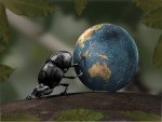 Escarabajo moviendo al mundo