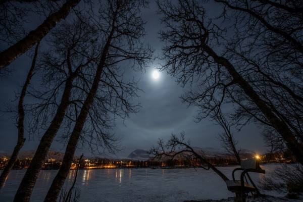 Noche de luna llena sobre el lago y la ciudad