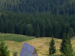 Pinar y el tejado de la cabaña
