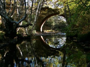 Postal: Puente de piedra sobre el río
