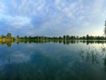 Calma en el lago